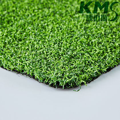 PE 2 Tones Golf  Putting Green Grass