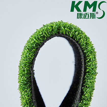PE 2 Tones Golf  Putting Green Grass